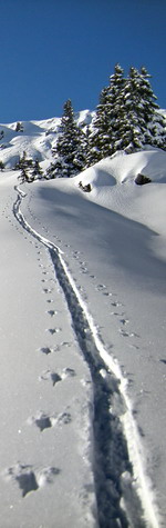 guide-montagne-raid-ski-randonnee-2010-04.jpg
