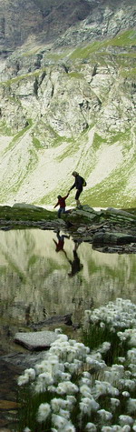 image_de_droite.jpg