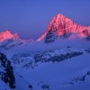 dent_blanche