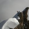 petite-face-nord-grand-paradis-2011-24
