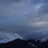 aravicimes_2