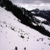 aravicimes_3