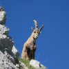 escalade-piliers-pointe-midi-tchao-godillo-28