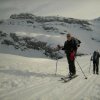 acces-lammeren-4