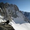 col-argentiere-18
