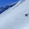 croise_baulet_7_photo_Franck_Chevallier