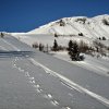croisse_baulet_06