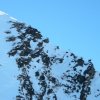 roc-de-tavaneuse-05