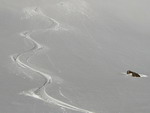 ski-montagne-1.jpg