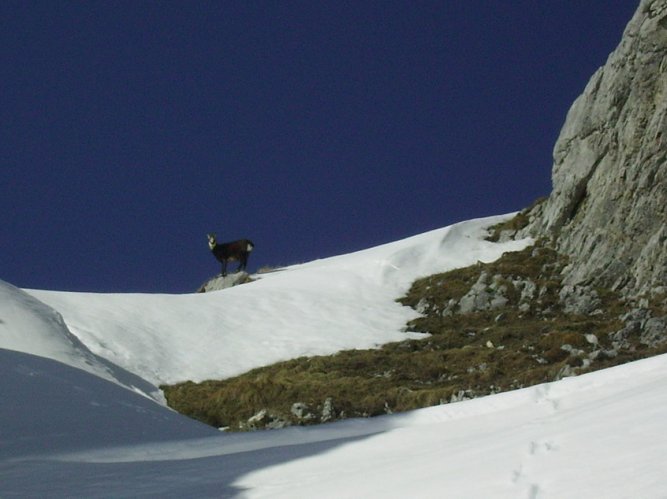 Enchainement Blonnière - Merdassier - Coillu à Bordel