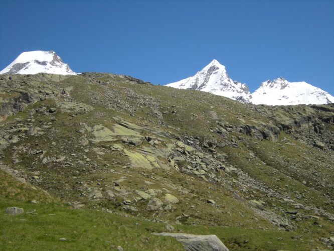 Grand-Paradis depuis Victor Emmanuel