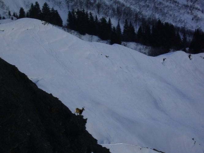 Passage du Père couloir Est