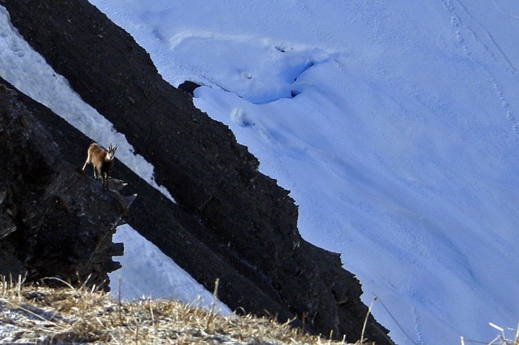 Passage du Père couloir Est - Photo Franck Chevallier