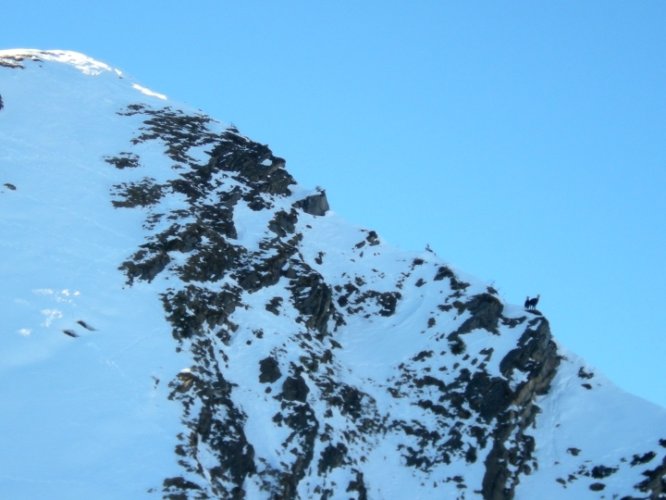 Ski dans le Chablais : le Roc de Tavaneuse