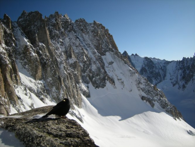 Ski au col d'Argentière, Chamonix