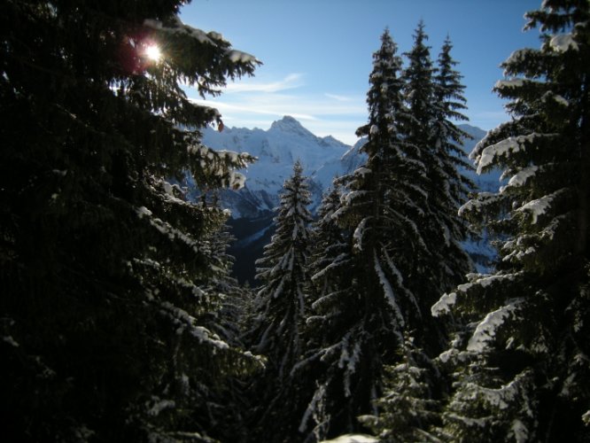 Ski de randonnée au col d'Encrenaz - Petit Bargy