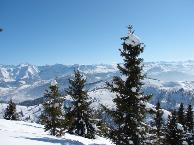 Initiation au ski de randonnée au Croisse Baulet