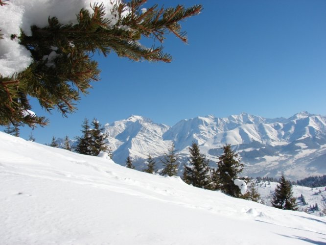 Initiation au ski de randonnée au Croisse Baulet