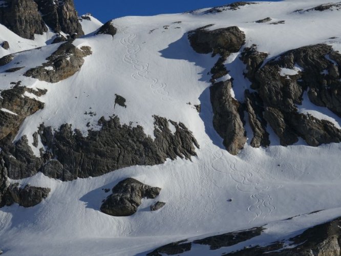 En montant au Schwarzhorn on observe nos belles traces de la veille