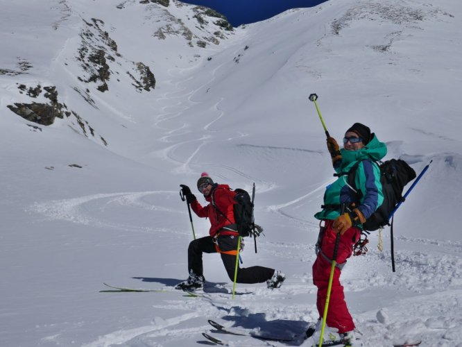 Superbe combe à prendre avec des pincettes