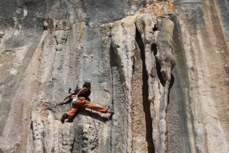 Les concrétions de la falaise de Seynes