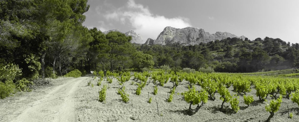 Une belle session de grimpe aux Dentelles