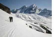 Montée à skis au Schwarzhorn dans le massif du Wildstrubel