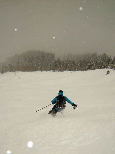 Descente en neige poudreuse de la face Est de Croix Cartier