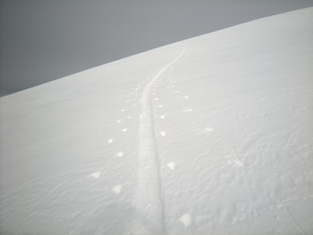 C'est reparti ! La neige, le ski, la trace...