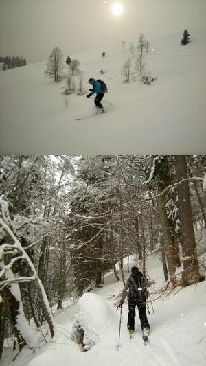 Entre forêts et alpages : ski de randonnée à Croix Cartier