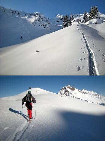 La très belle neige poudreuse du versant est de la pointe de Chalune