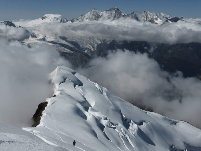 Des 4000 du Valais depuis le Weissmies