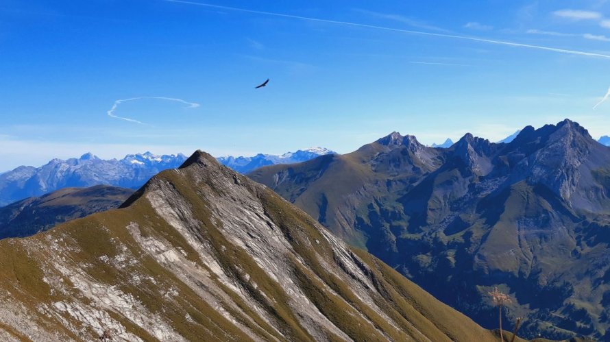 Traversée des 6 sommets de l'arête Auferrand-Almet en septembre, fantastique randonnée alpine