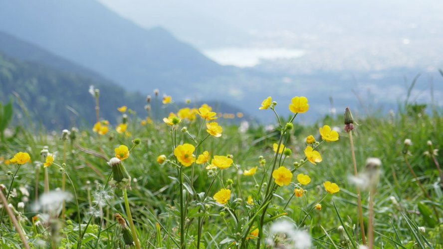 C'est le printemps : on grimpe au dessus du lac d'Annecy