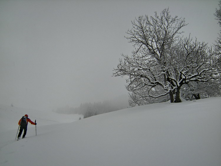 En montant en ski de rando à la Croix Cartier dans les Aravis En montant en ski de rando à la Croix Cartier dans les Aravis