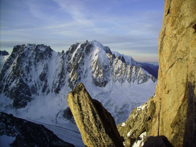 Chardonnet